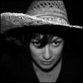 Stef Mitchell Photographer