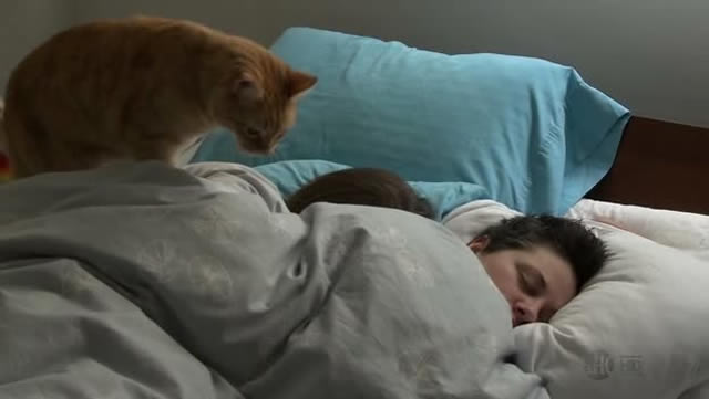 1a-kacy-and-coris-cat-dot-tumblr-dot-com