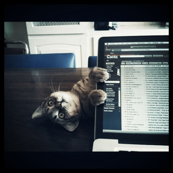 kitty macbook