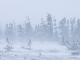 canadian snowstorm