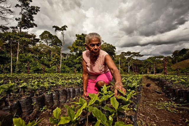 luz evelia godines, member of aldea global. via intermon oxfam