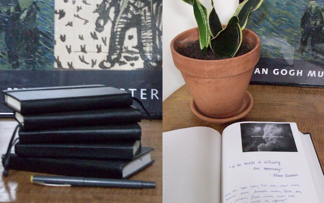 Please note how Carolyne's plant (right) is still alive. 
