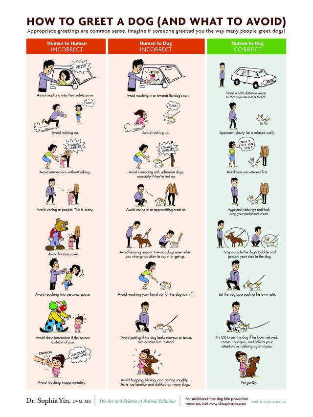 how to interact with people and dogs