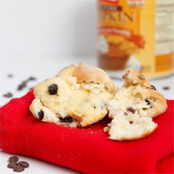 Pumpkin Chocolate Chip Scone