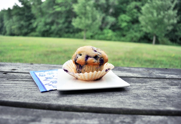 Single Serving Vegan Blueberry Muffin