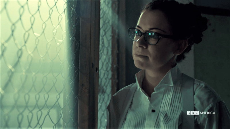 Cosima leans against her cage, unfazed by Coady's ramblings