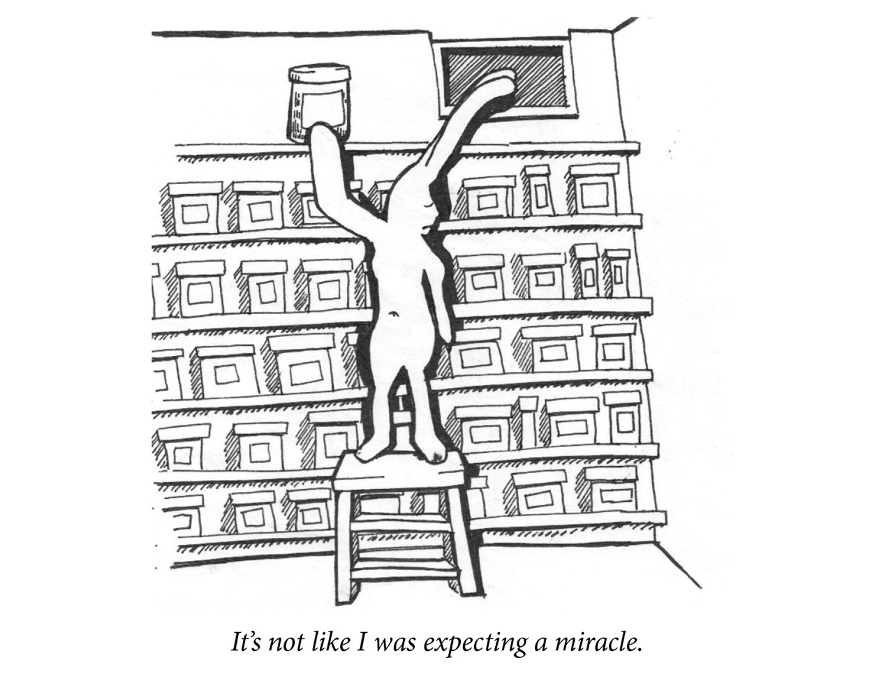 Image description: A sad rabbit places a jar on the top row of basement set of shelves. All the shelves are lined with similar jars. Caption: “It’s not like I was expecting a miracle.