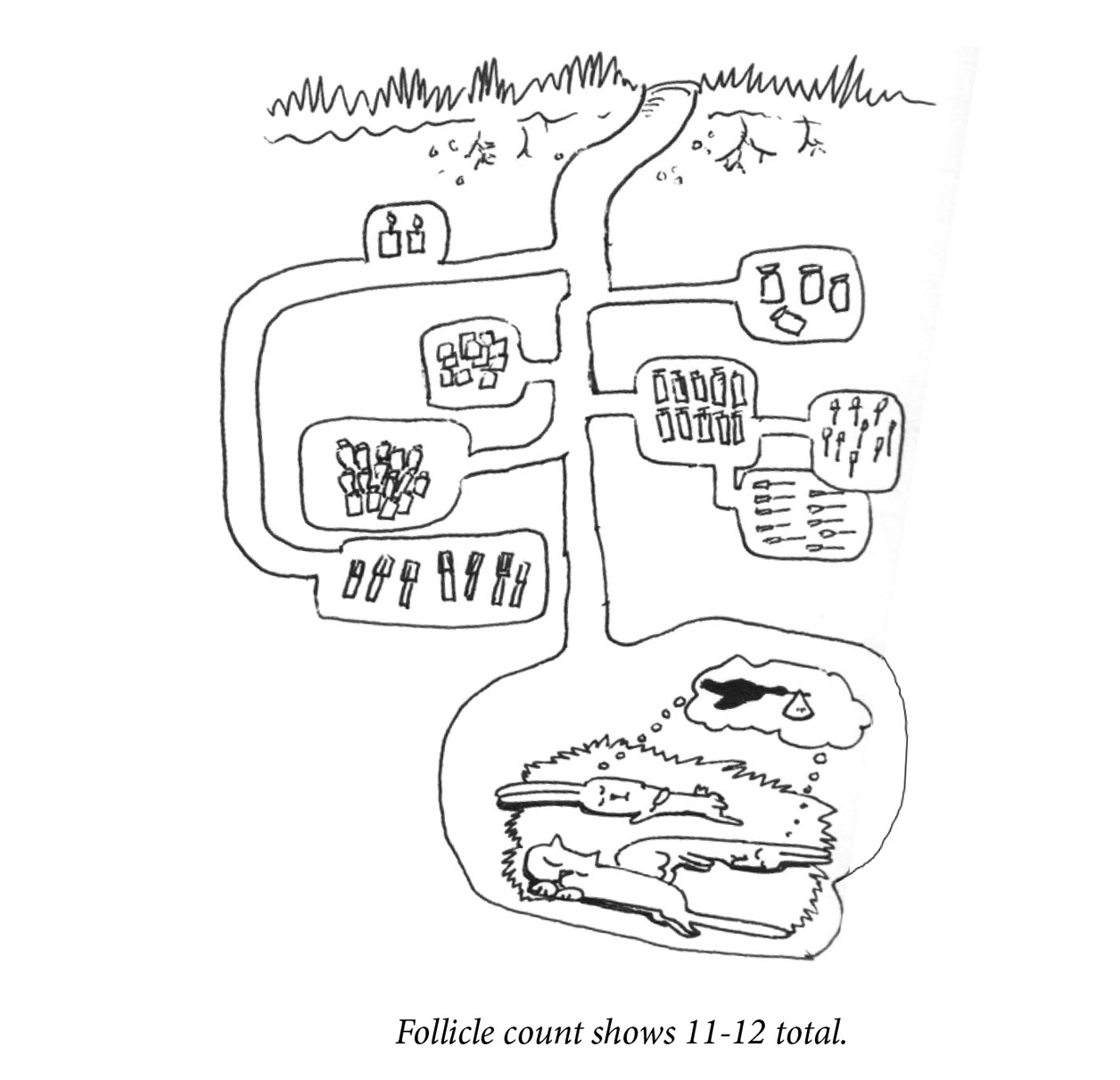 Image description: An underground cross-section of the rabbit hole shows a network of tunnels and storage areas with viles, swabs, and other medical supplies. At the base of the rabbit hole, two rabbits and a cat sleep peacefully, sharing a dream of a stork with a baby bundle. Caption: “Follicle count shows 11-12 total.