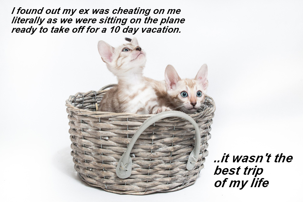 I found out my ex was cheating on me literally as we were sitting on the plane ready to take off for a 10-day vacation. ...it wasn't the best trip of my life.
