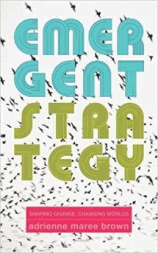 a book with thick, tubular letters that read "Emergent Strategy" in blue and green letters against background with birds flying. At the bottom in a pink box text reads "Shaping change, changing worlds adrienne maree brown"