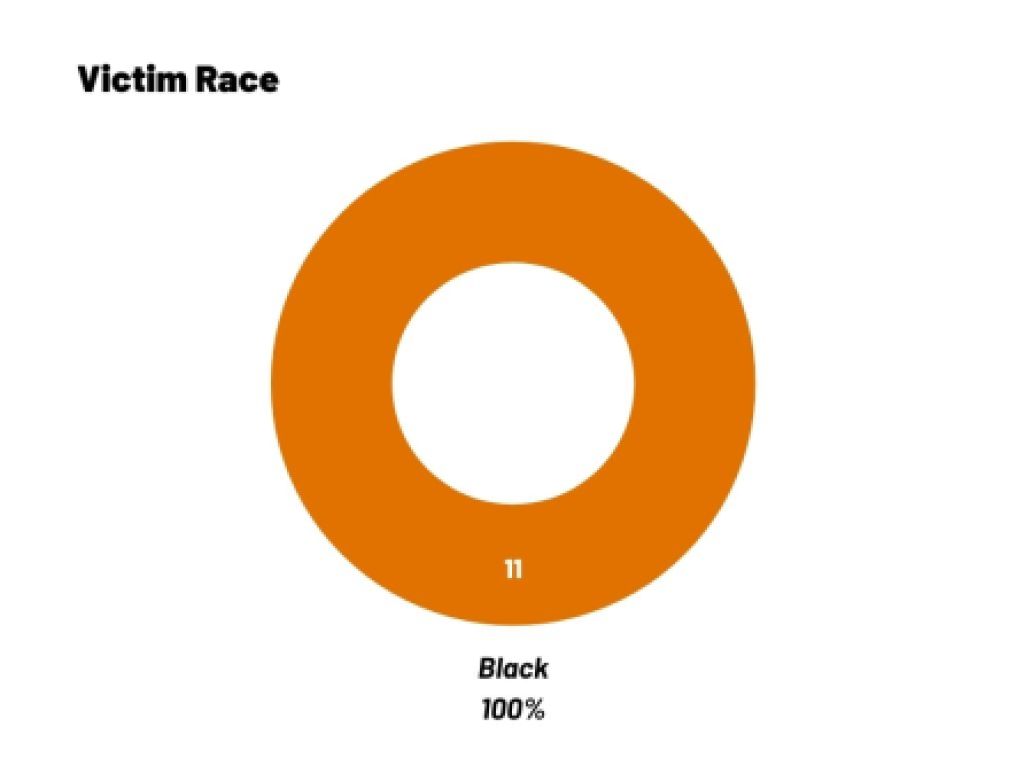 A circle chart that shows all 11 people victim to anti-trans homicides were Black.
