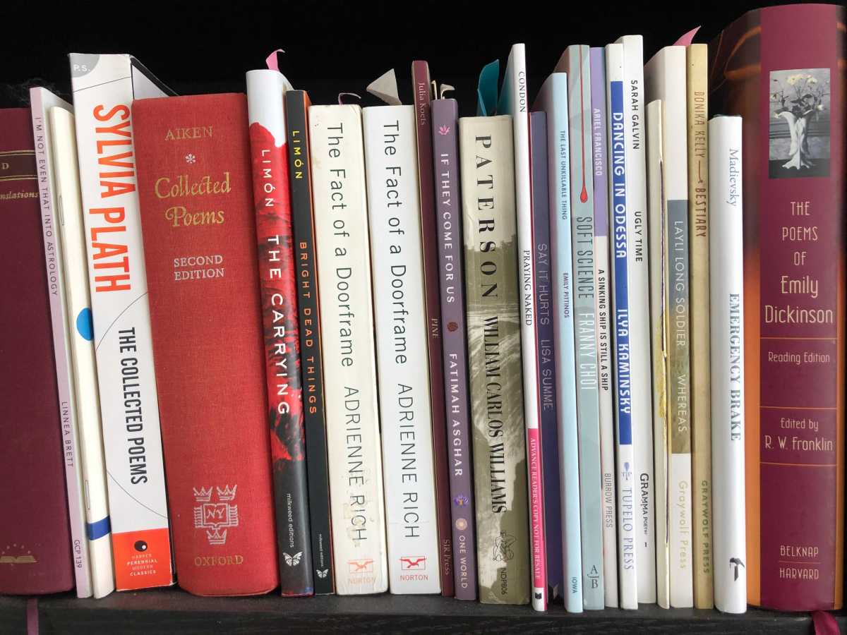 a shelf of books with 2 copies of "the fact of a doorframe" by adrienne rich