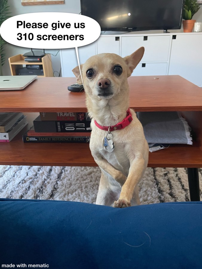 an image of carol the chihuahua looking pleadingly up at the viewer, a speech bubble next to her that says "please give us 310 screeners"